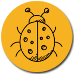 خدمة ابادة البق