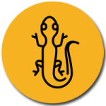 إبادة الابراص