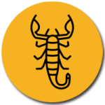 اباده العقارب والثعابين