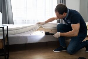 ارقام شركات رش الحشرات